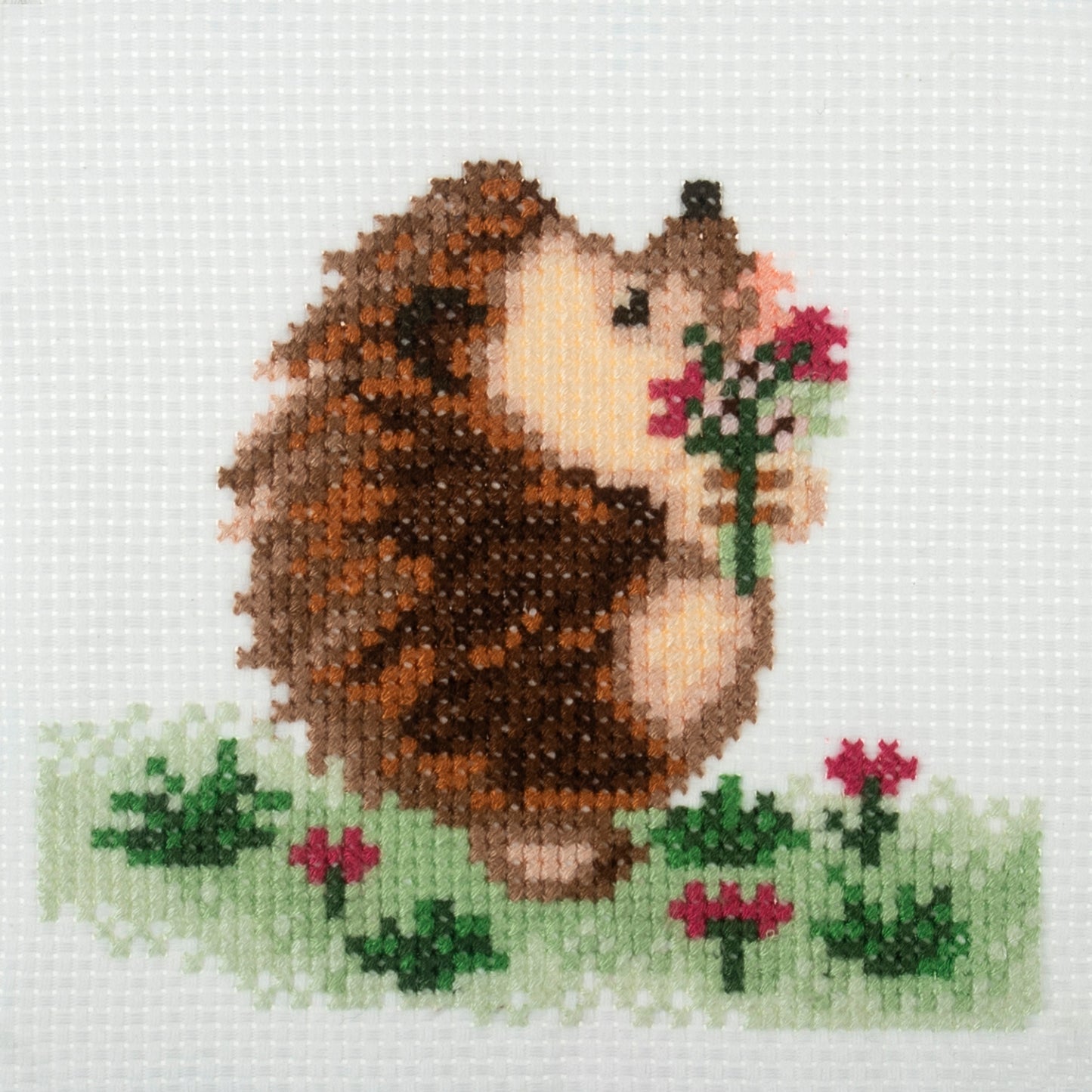 Hedgehog Cross Stitch Kit - Mini Counted Cross Stitch Kit