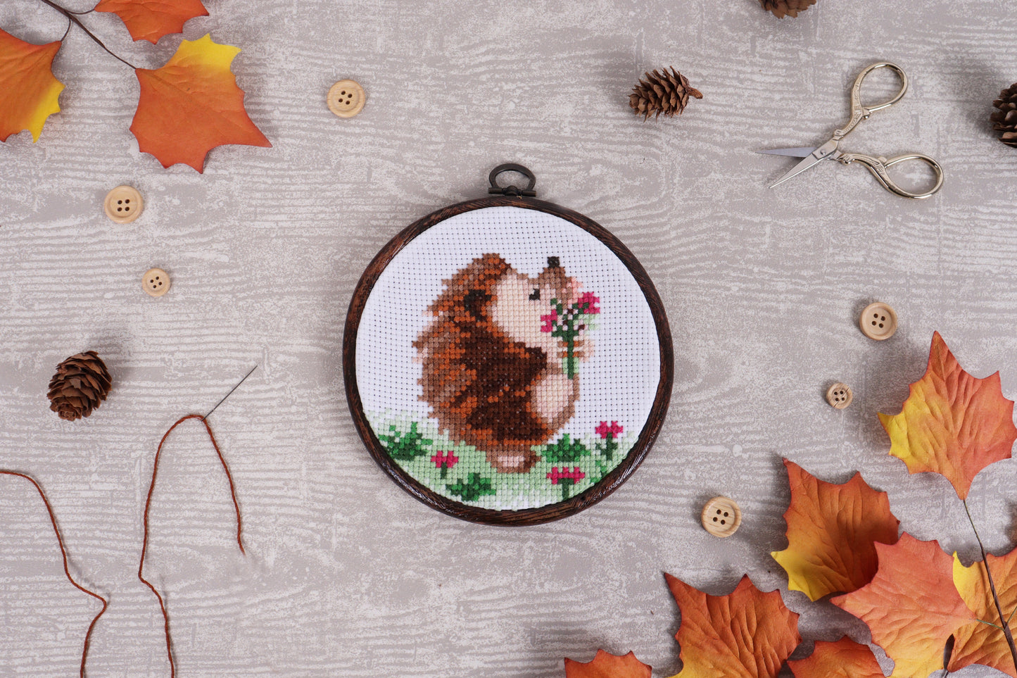 Hedgehog Cross Stitch Kit - Mini Counted Cross Stitch Kit
