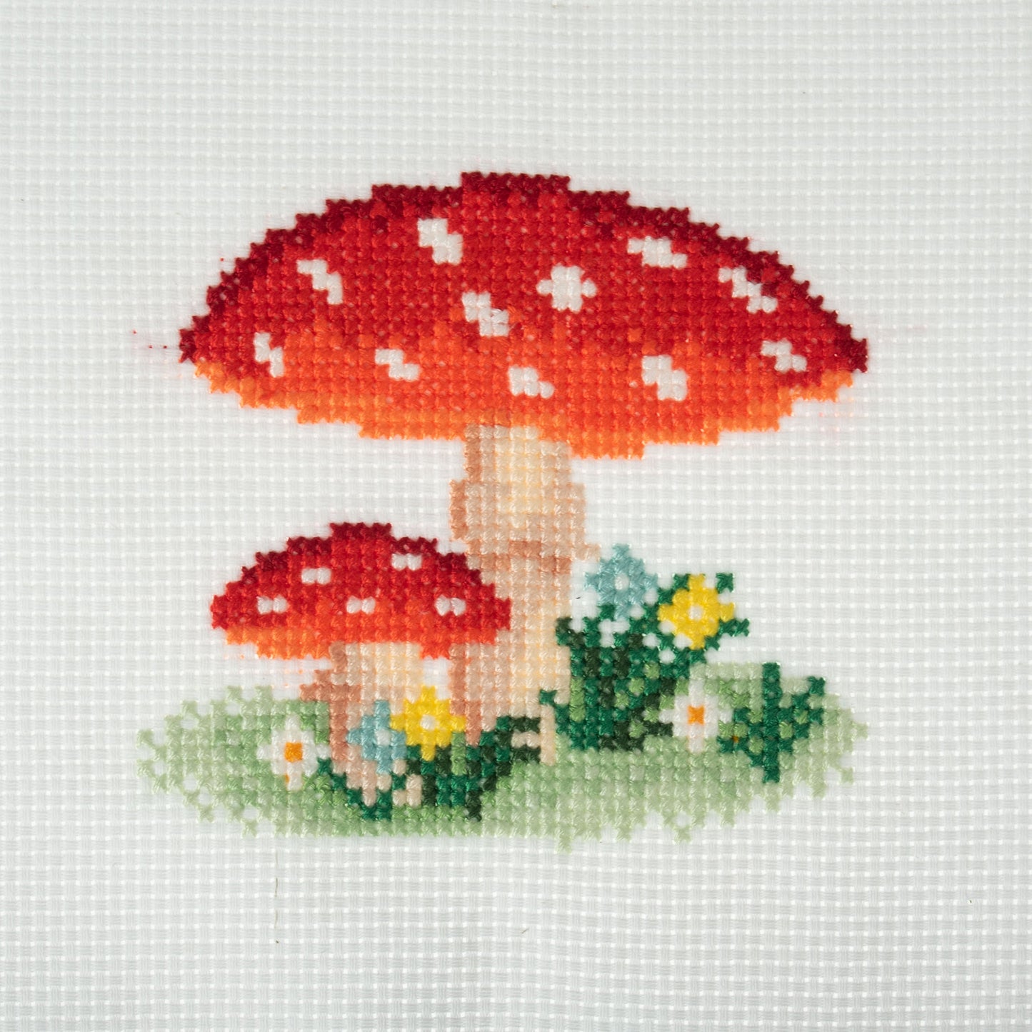 Toadstool Cross Stich Kit. Mini Counted Cross Stitch.
