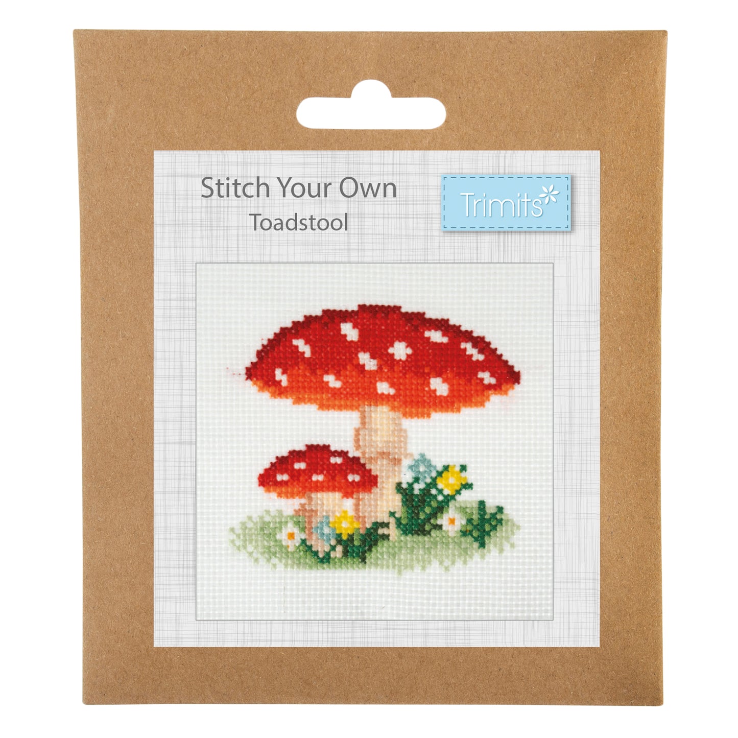 Toadstool Cross Stich Kit. Mini Counted Cross Stitch.
